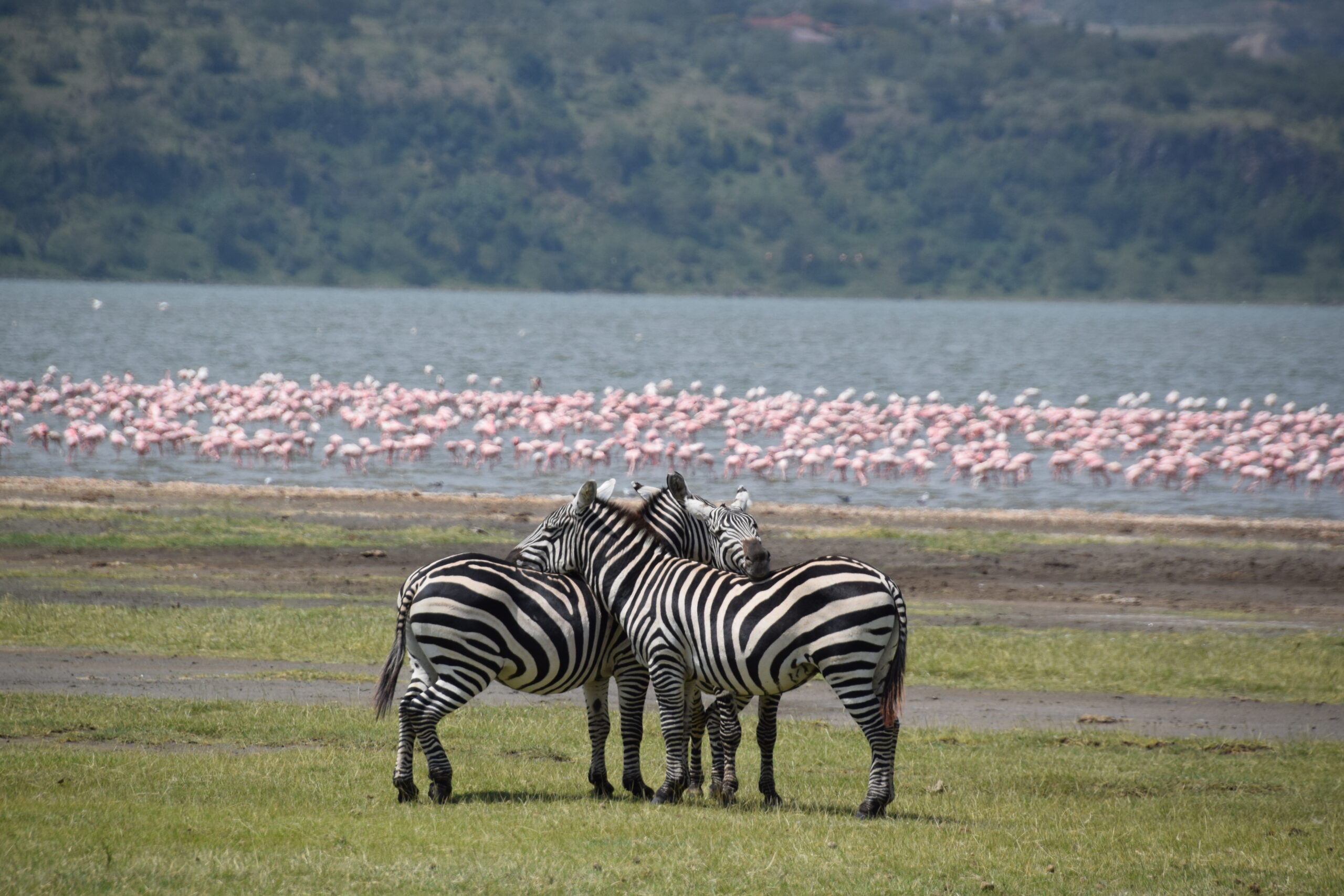 Lake Elementaita