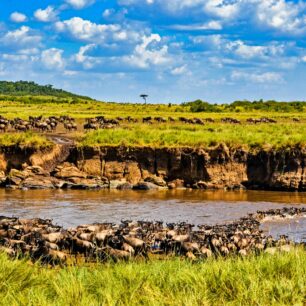 Maasai Mara